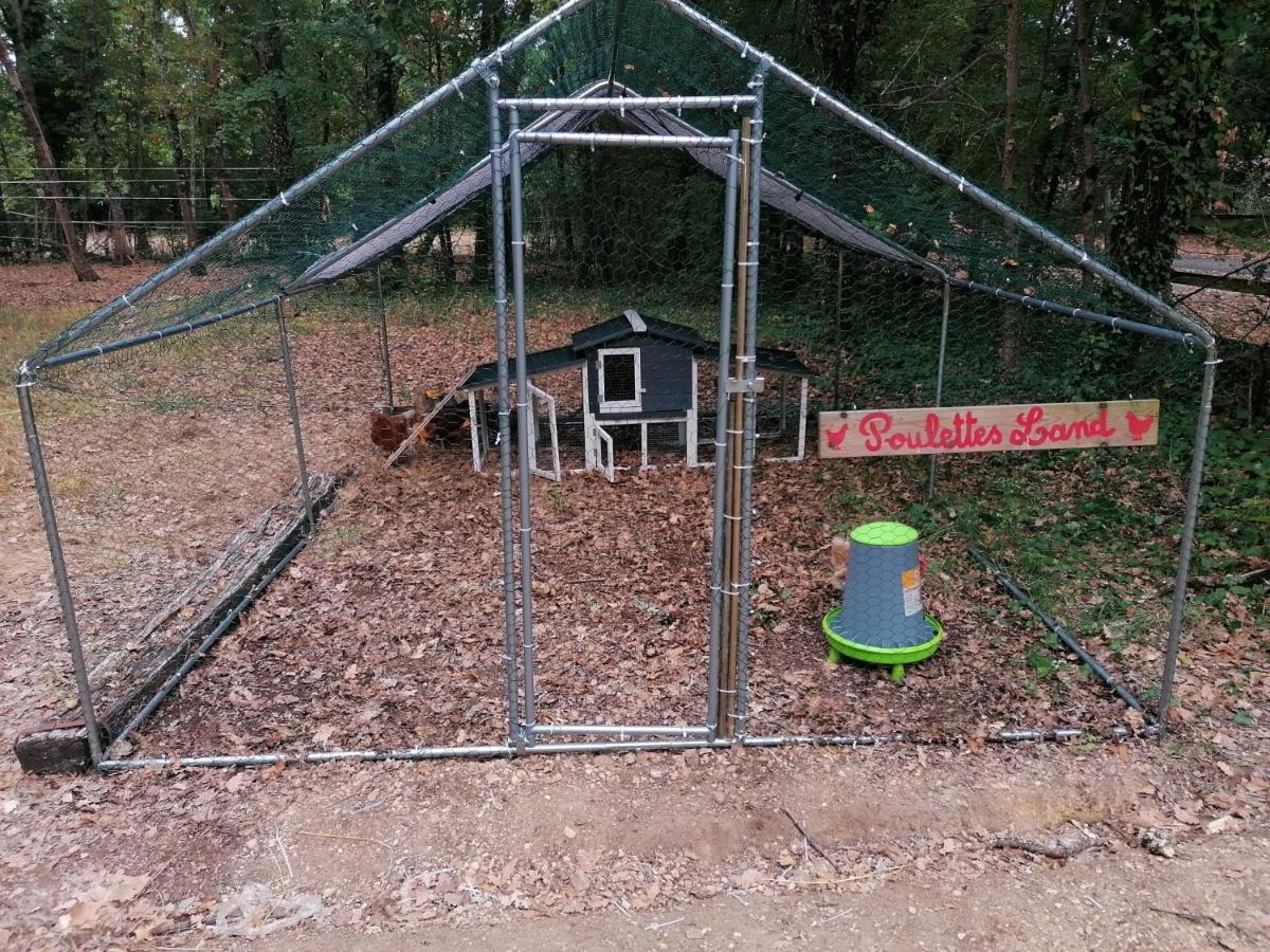 Emplacement Tente Camping Car Saint-Aubin-de-Nabirat Εξωτερικό φωτογραφία