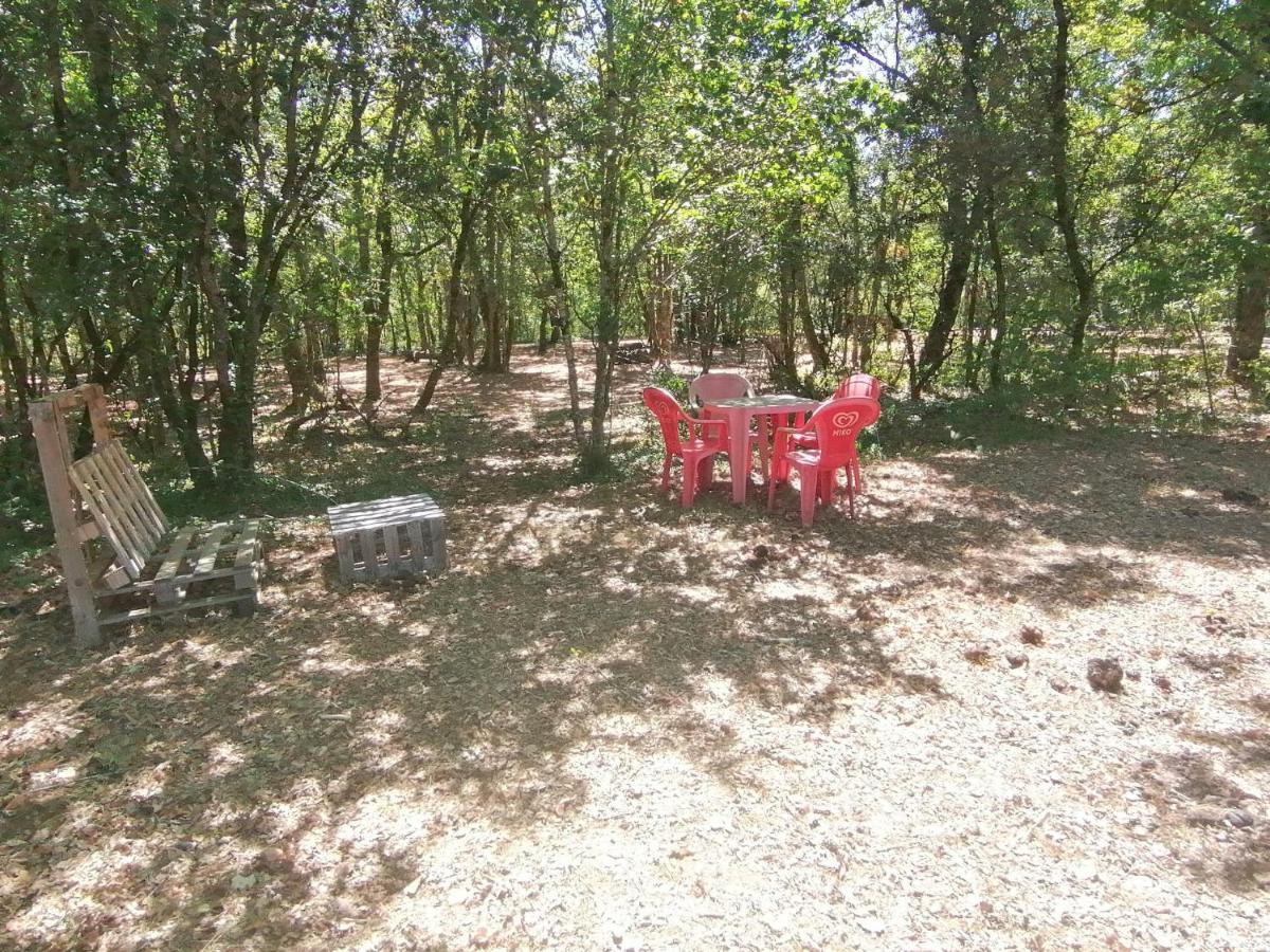 Emplacement Tente Camping Car Saint-Aubin-de-Nabirat Εξωτερικό φωτογραφία